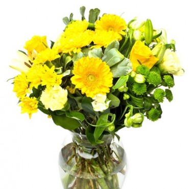 Yellow Carnations for Home or Office